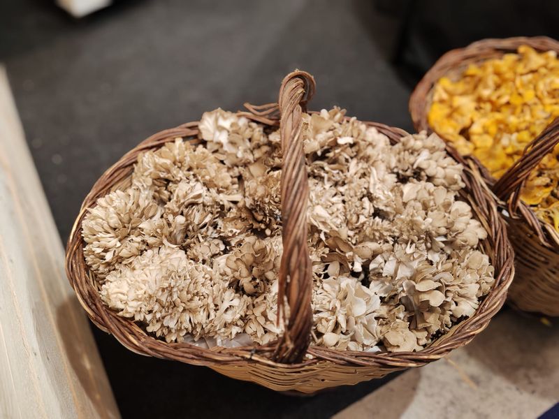 Maitake cultivated mushrooms