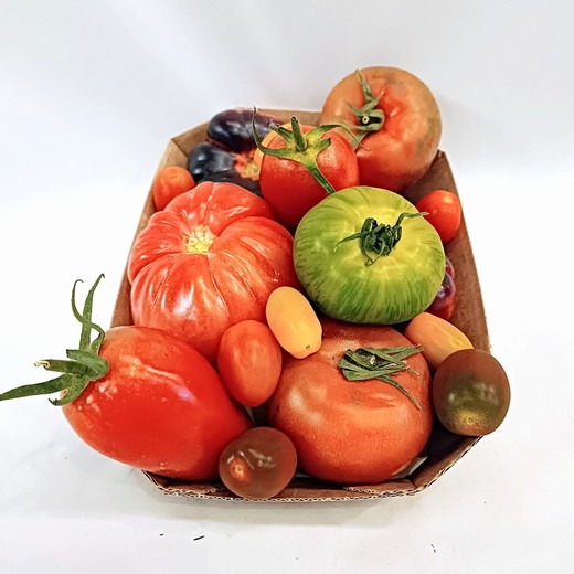 Mix Tomate 2kg