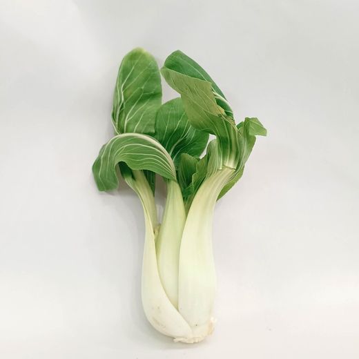 Col Asiática ( Pak  Choi )