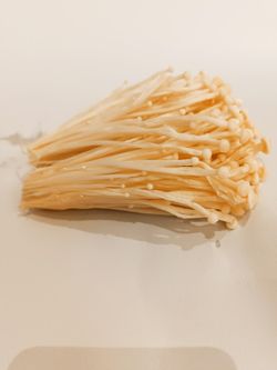Enoki (Flammulina velutipes)