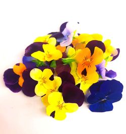 Flor de Pensamiento