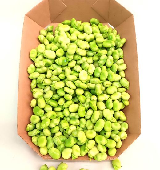Haba fresca