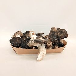 Marzuelo (Hygrophorus marzuolus)