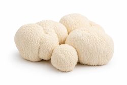 Melena de león (Hericium erinaceus)