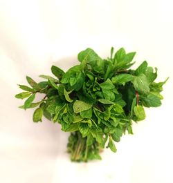 Mint