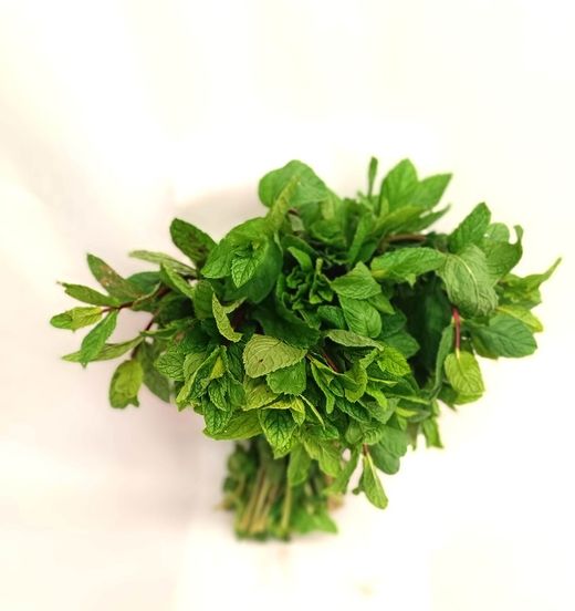 Menta