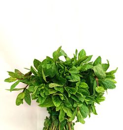 Mint