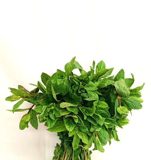 Mint