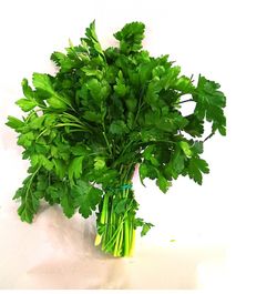 Parsley