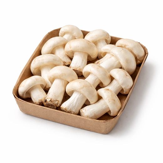 Perrechico (Calocybe gambosa)