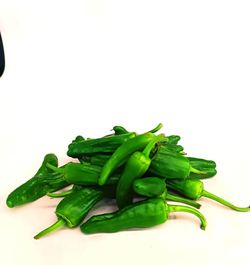 Pimiento del Padrón