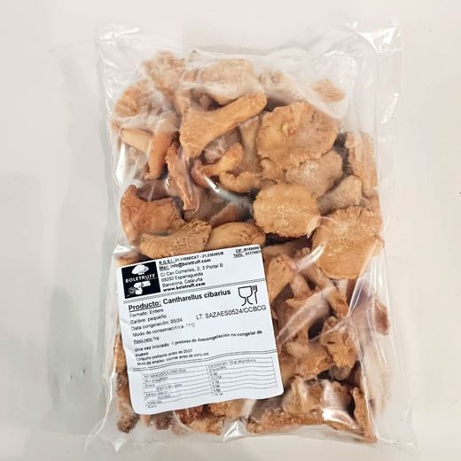 Rebozuelo Entero (1kg)