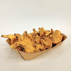 Rebozuelo (Cantharellus cibarius)