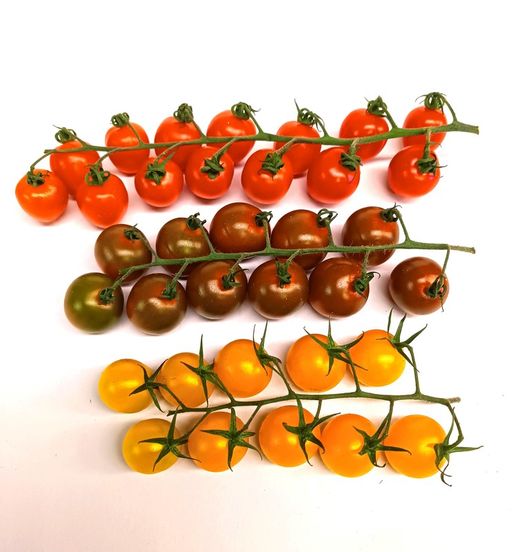 Tomate Mix  Cherry 2kg