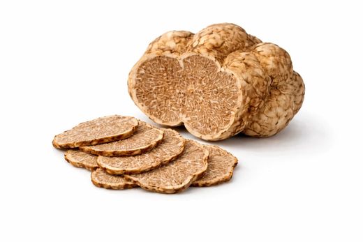 Trufa blanca (Tuber magnatum)