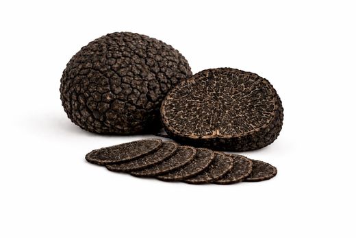 Trufa negra (Tuber melanosporum)