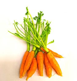 Zanahorias Mini